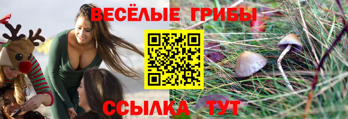 Галлюциногенные грибы ЛСД  Вход с VPN  Псилоцибиновые грибы Cubensis  Шарыпово 